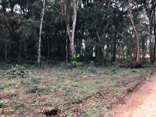 Sítio e chácara venda em Região Geográfica Imediata de Curitiba, Região Metropolitana de Curitiba