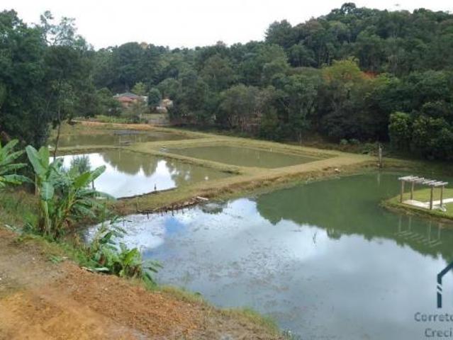 Sítio e chácara venda em Região Geográfica Imediata de Curitiba, Região Metropolitana de Curitiba