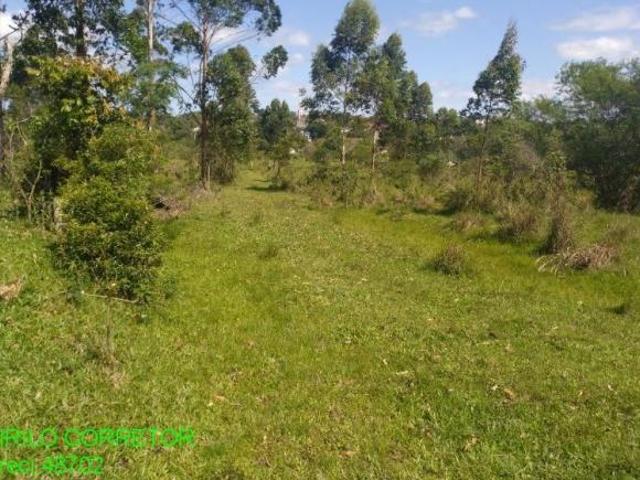 Sítio e chácara venda em Região Geográfica Imediata de Novo Hamburgo - São Leopoldo, Região Metropolitana de Porto Alegre