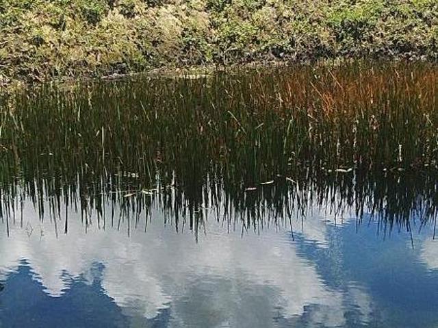 Sítio e chácara venda em Região Geográfica Imediata de Ivaiporã, Faxinal