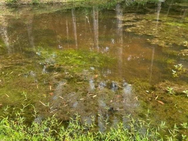 Sítio e chácara venda em Região Imediata de São Paulo, Região Metropolitana de São Paulo