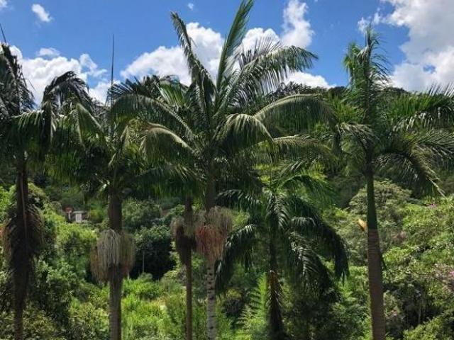 Sítio e chácara venda em Região Imediata de São Paulo, Região Metropolitana de São Paulo