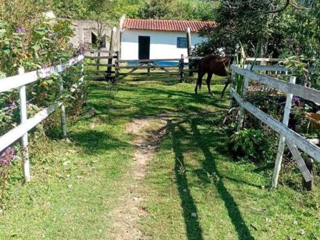 Sítio e chácara venda em Serra Negra, Região Geográfica Intermediária de Campinas