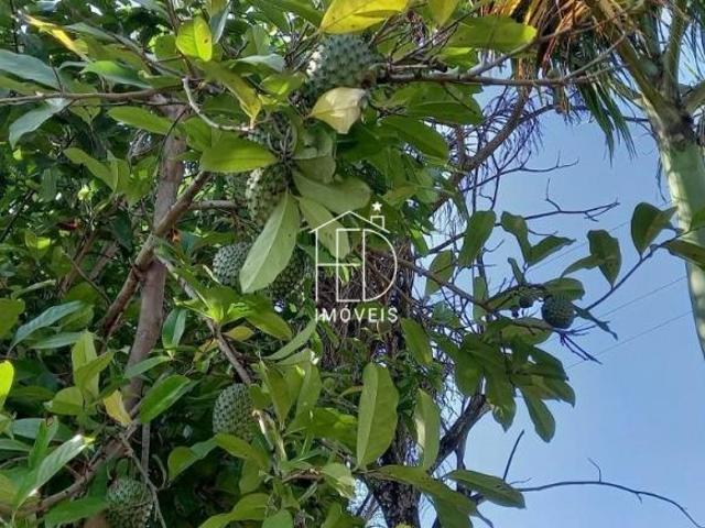 Sítio e chácara venda em Região Imediata de Piracicaba, Região Metropolitana de Piracicaba