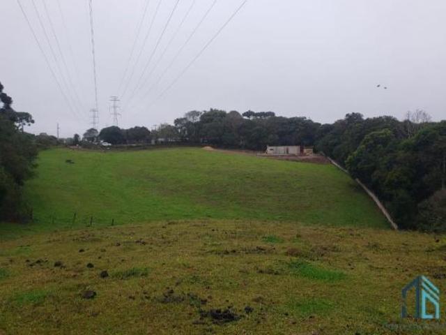 Sítio e chácara venda em Del Rey, São José dos Pinhais