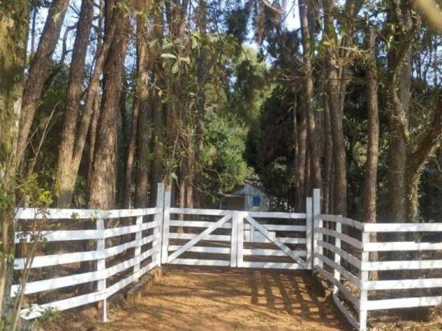 Sítio e chácara venda em Região Imediata de Itapeva, Itararé