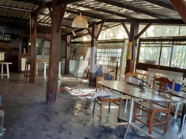 Sítio e chácara venda em Ribeirão Preto