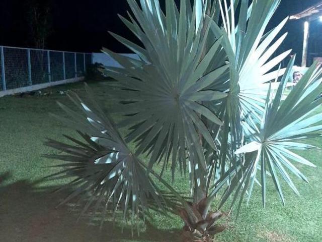 Sítio e chácara venda em Região Geográfica Imediata de Uberlândia, Oliveira Fortes