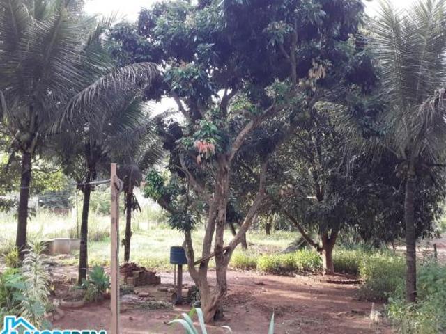 Sítio e chácara venda em Região Geográfica Imediata de Ipatinga, Região Metropolitana do Vale do Aço