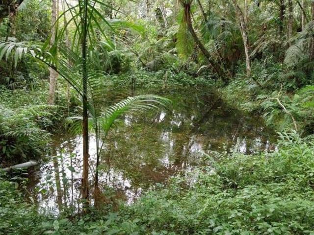 Sítio e chácara venda em Centro, Juquitiba
