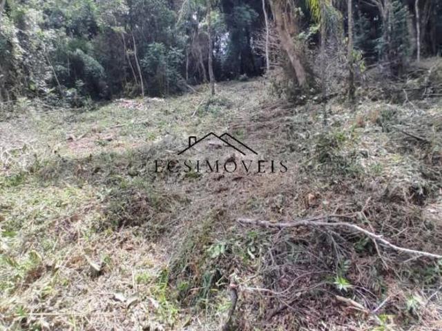 Sítio e chácara venda em Região Geográfica Imediata de Curitiba, Região Metropolitana de Curitiba