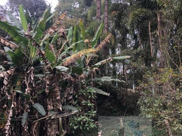 Sítio e chácara venda em Região Imediata de Sorocaba, Região Metropolitana de Sorocaba