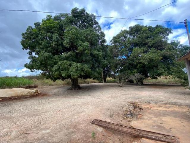 Sítio e chácara venda em Região Geográfica Imediata de Águas Lindas de Goiás, Região Integrada de Desenvolvimento do Distrito Federal e Entorno