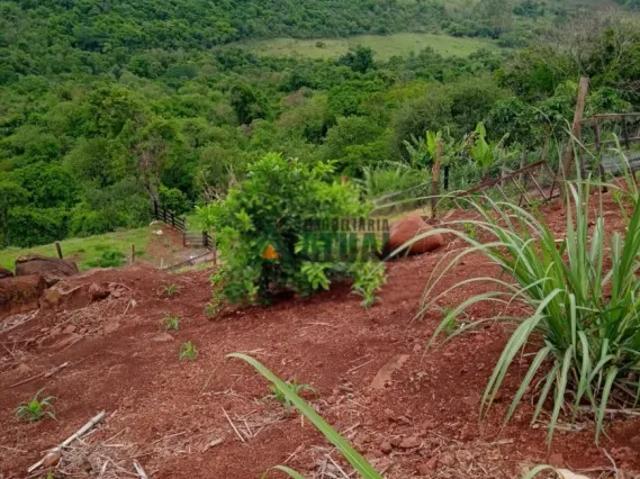 Fazenda venda em Região Geográfica Imediata de Londrina, Londrina