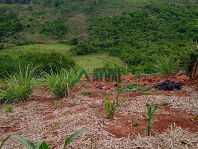 Sítio e chácara venda em Região Geográfica Imediata de Londrina, Londrina
