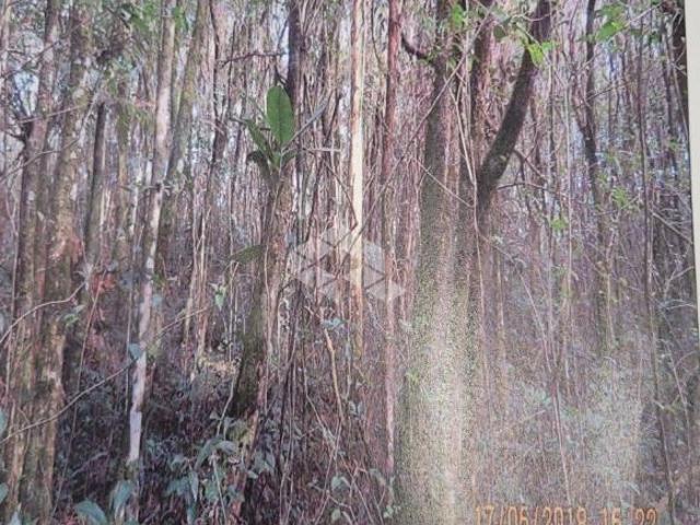 Sítio e chácara venda em Região Geográfica Imediata de Caxias do Sul, Farroupilha