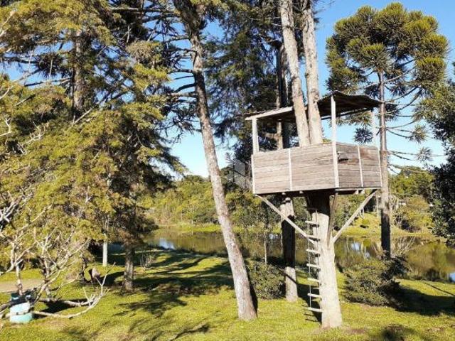 Sítio e chácara venda em Região Geográfica Imediata de Caxias do Sul, Farroupilha