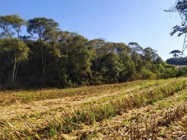 Sítio e chácara venda em Região Geográfica Imediata de Curitiba, Região Metropolitana de Curitiba