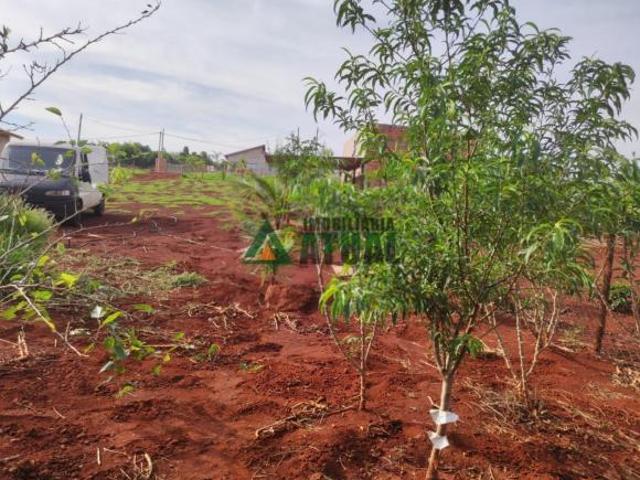 Sítio e chácara venda em Região Geográfica Imediata de Londrina, Cambé