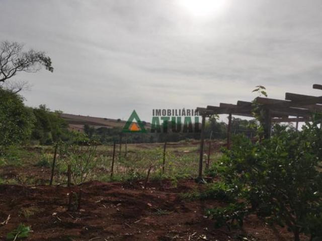 Sítio e chácara venda em Região Geográfica Imediata de Londrina, Cambé