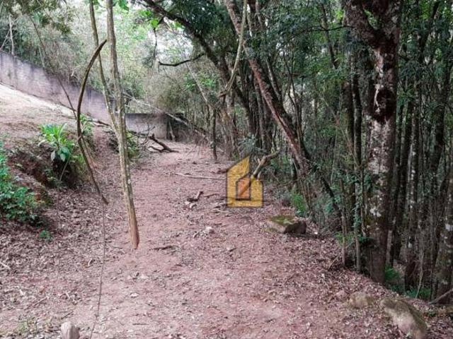 Sítio e chácara venda em Região Geográfica Imediata de Londrina, Ibiporã
