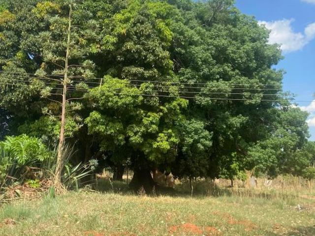 Sítio e chácara venda em Recanto das Emas, Região Geográfica Intermediária do Distrito Federal