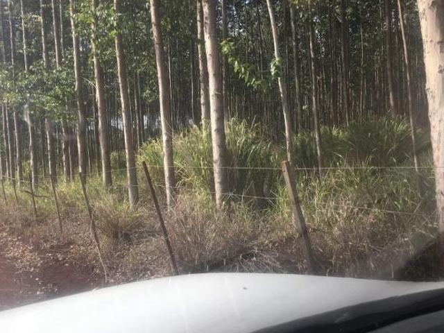 Sítio e chácara venda em Região Geográfica Imediata de Marechal Cândido Rondon, Marechal Cândido Rondon