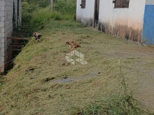 Sítio e chácara venda em Terra Preta, Mairiporã