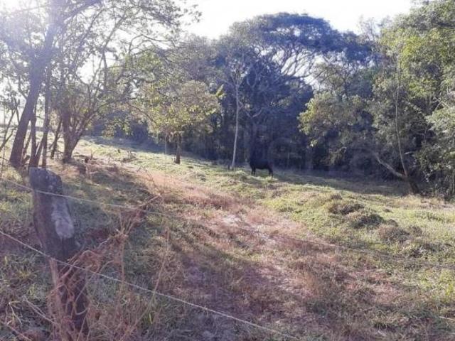 Sítio e chácara venda em Piracema