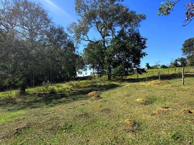 Sítio e chácara venda em Região Geográfica Imediata de Oliveira, Carmópolis de Minas