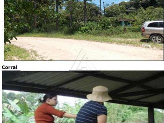 Sítio e chácara venda em Juquia, São Paulo