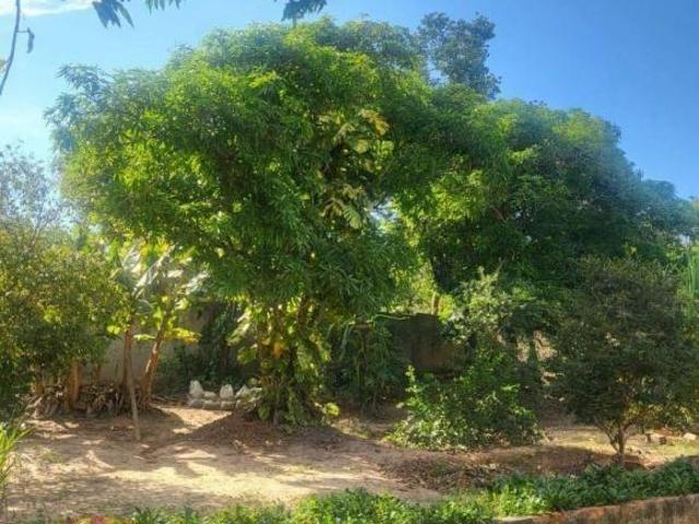 Sítio e chácara venda em Itu