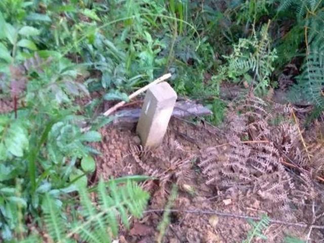 Sítio e chácara venda em Região Geográfica Imediata de Curitiba, Região Metropolitana de Curitiba