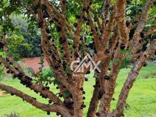 Sítio e chácara venda em Região Geográfica Imediata de Londrina, Cambé
