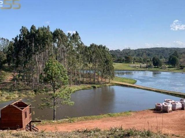Sítio e chácara venda em Região Geográfica Imediata de Curitiba, Região Metropolitana de Curitiba