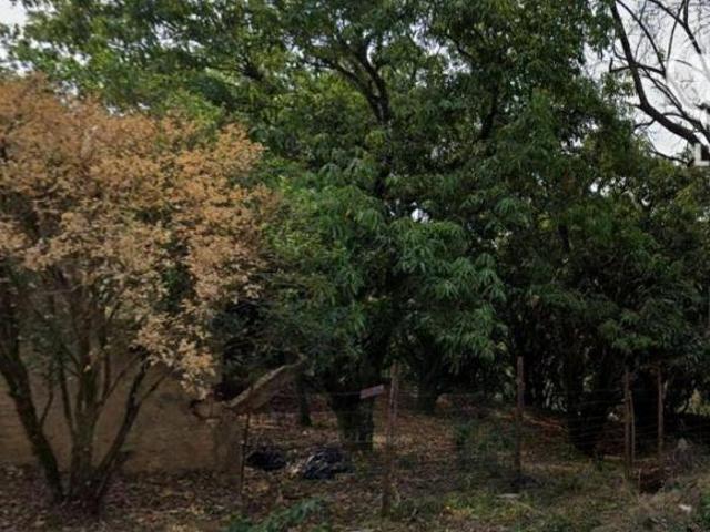 Sítio e chácara venda em Região Imediata de São João da Boa Vista, Santo Antônio do Jardim