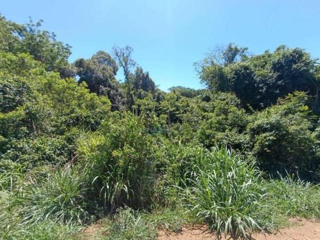 Sítio e chácara venda em Região Geográfica Imediata de Londrina, Londrina