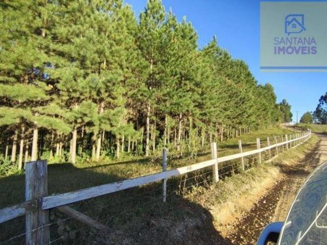 Sítio e chácara venda em Região Geográfica Imediata de Curitiba, Região Metropolitana de Curitiba