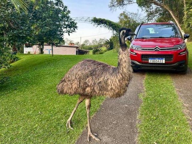 Sítio e chácara venda em Região Imediata de São Paulo, Região Metropolitana de São Paulo