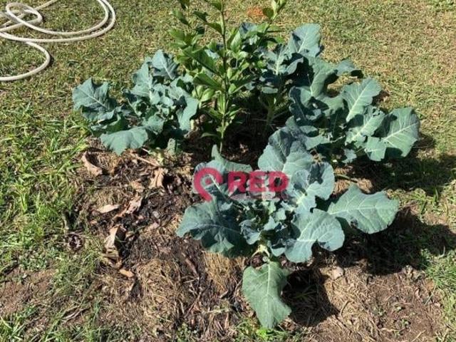 Sítio e chácara venda em Capela do Alto, São Paulo