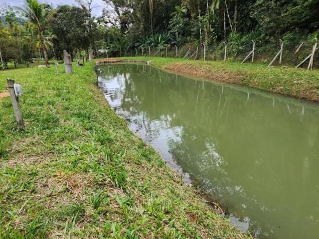 Sítio e chácara venda em Região Geográfica Imediata de Paranaguá, Antonina