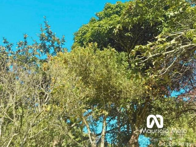 Sítio e chácara venda em Região Imediata de São Paulo, Região Metropolitana de São Paulo