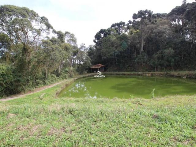 Sítio e chácara venda em Região Geográfica Imediata de Curitiba, Região Metropolitana de Curitiba