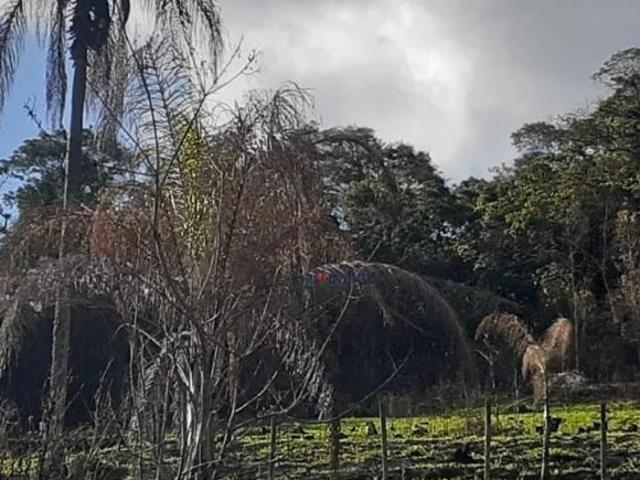 Sítio e chácara venda em Região Imediata de Bragança Paulista, Nazaré Paulista