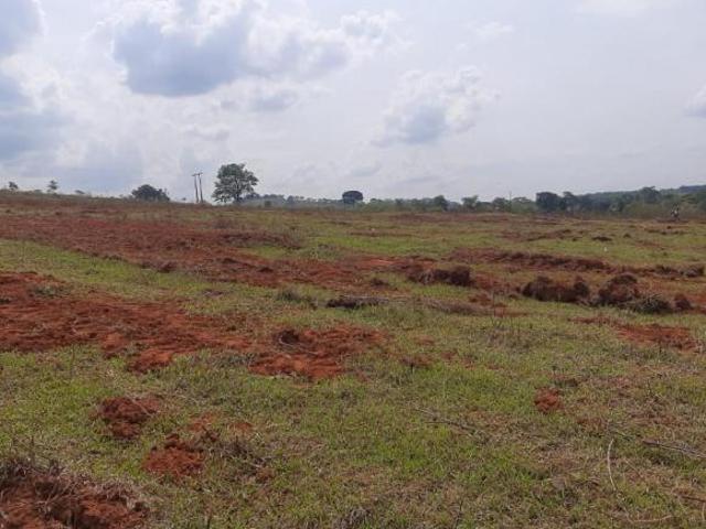Sítio e chácara venda em Piracema
