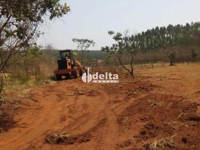 Sítio e chácara venda em Região Geográfica Imediata de Uberlândia, Oliveira Fortes