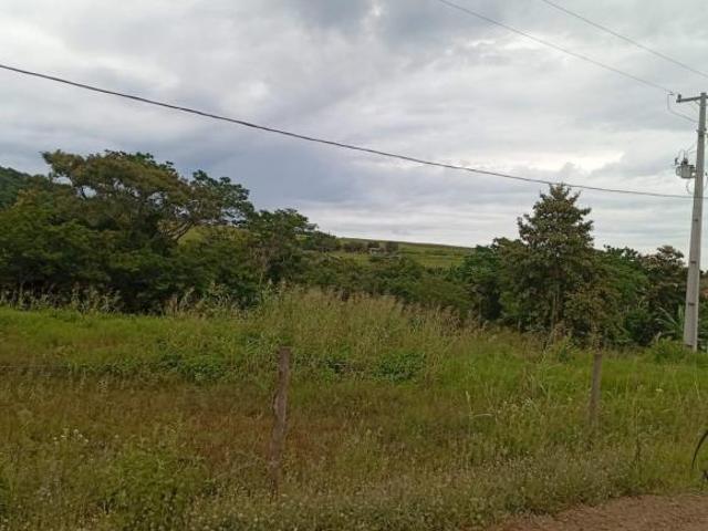 Sítio e chácara venda em Paiçandu, Região Geográfica Intermediária de Maringá