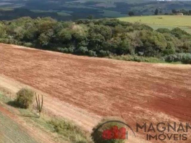 Sítio e chácara venda em Região Geográfica Imediata de Maringá, Marialva
