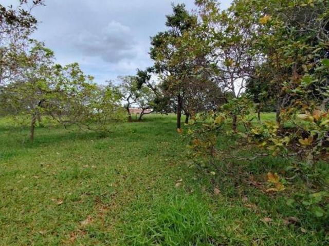 Sítio e chácara venda em Região Geográfica Imediata de Goiânia, Goiânia