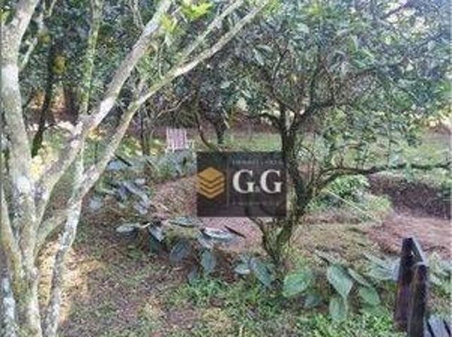 Sítio e chácara venda em Região Geográfica Imediata de Porto Alegre, Região Metropolitana de Porto Alegre